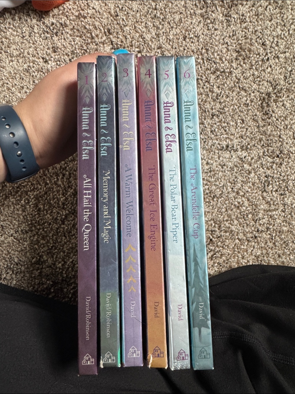 Frozen chapter books